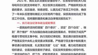 述责述廉报告2021最新_述责述廉报告2