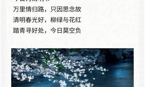 清明节的日记100字左右_清明节的日记1