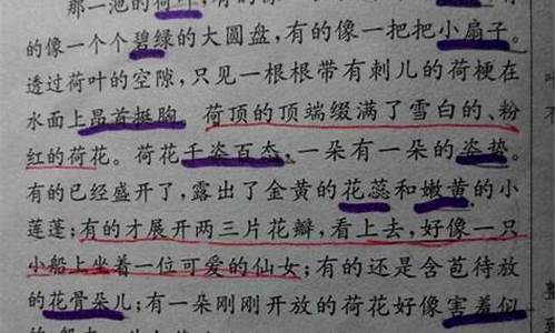 散文经典美句摘抄