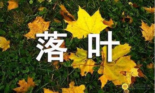 落叶作文网_作文《落叶》