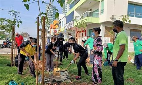 种花_种花家是什么意思