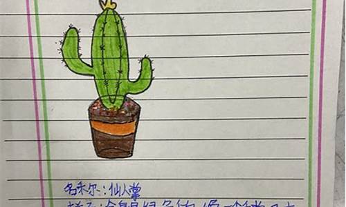 观察日记植物仙人掌_观察日记植物仙人掌400字四年级